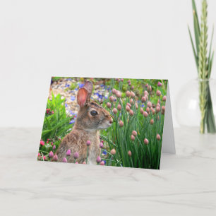 Tarjeta Festiva el conejito de pascua