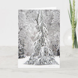 Tarjeta Festiva El copo de nieve del *No cae en el lugar