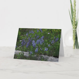 Tarjeta Festiva El Día de la Madre de los Lupins