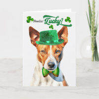 El Día de San Patricio de Basenji