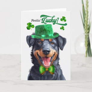 Tarjeta Festiva El Día de San Patricio de Beauceron