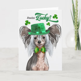 Tarjeta Festiva El Día de San Patricio de los Perros Crestados Chi