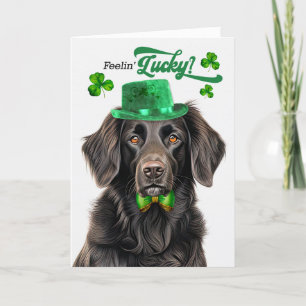 Tarjeta Festiva El día de San Patricio, un perro con recuperación