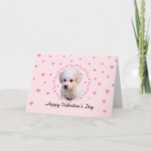Tarjeta Festiva El día de San Valentín de Bichon