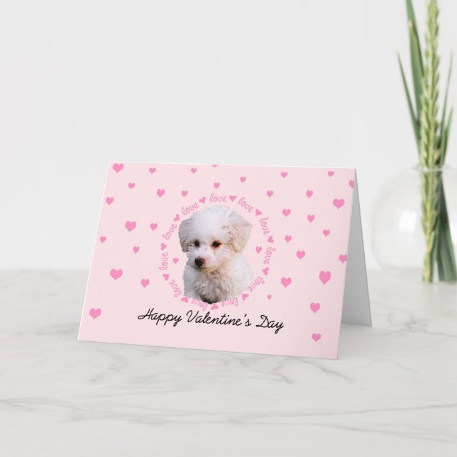 Tarjeta Festiva El día de San Valentín de Bichon (Anverso)
