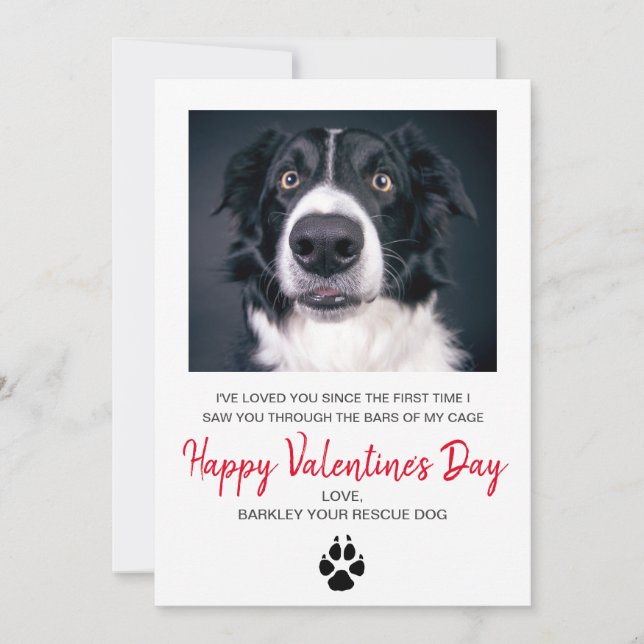 Tarjeta Festiva El día de San Valentín De Foto Perro Del Perro (Anverso)
