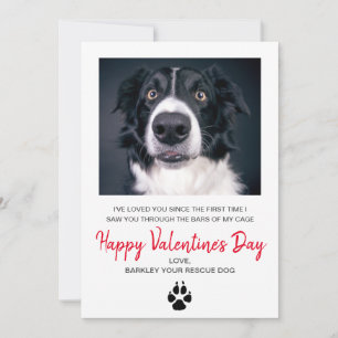 Tarjeta Festiva El día de San Valentín De Foto Perro Del Perro