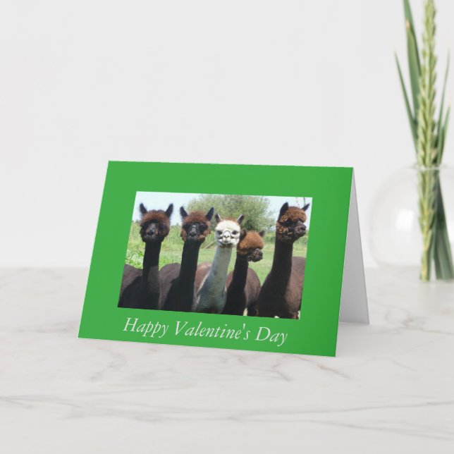 Tarjeta Festiva El día de San Valentín de la alpaca (Anverso)