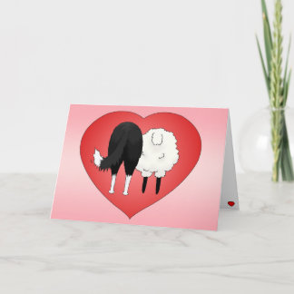 Tarjeta Festiva El día de San Valentín del border collie
