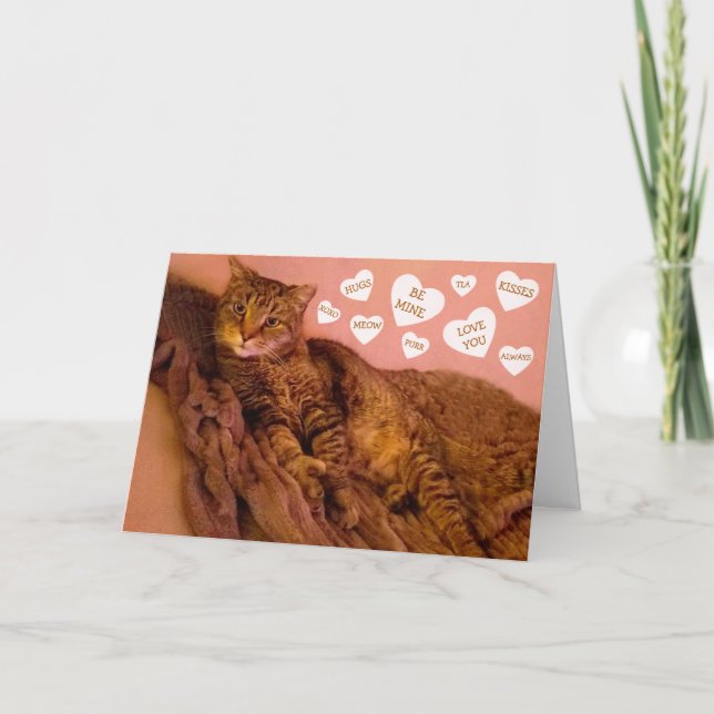 Tarjeta Festiva El día de San Valentín divertida de gato superromá (Anverso)