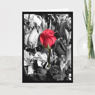 Tarjeta Festiva El día de San Valentín feliz