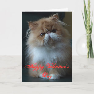 Tarjeta Festiva El día de San Valentín feliz del gato persa