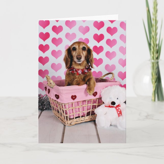 Tarjeta Festiva El día de San Valentín - Mollie - Dachshund (Anverso)