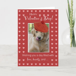 Tarjeta Festiva El día de San Valentín Perro recuperador de oro co