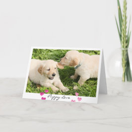 Tarjeta Festiva El día de San Valentín Perros Cute Amor Cuppy