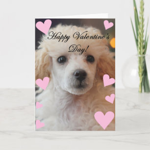 Tarjeta Festiva El día de San Valentín Poodle Dog