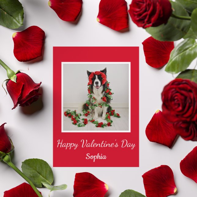 Tarjeta Festiva El día de San Valentín rosas rojas lindo perro de  (Subido por el creador)