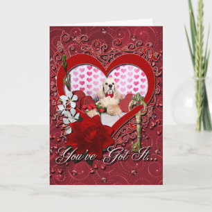 Tarjeta Festiva El día de San Valentín - Tobey - cocker spaniel