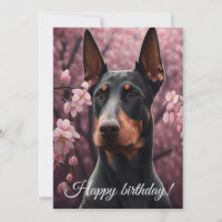 El encanto de Doberman.