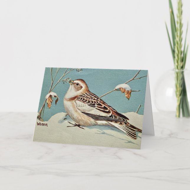 Tarjeta Festiva El escribano nival (Anverso)