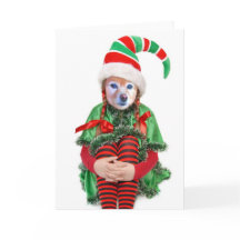 El Fox es un duende del chica, #2