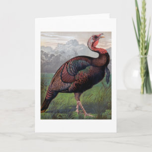 Tarjeta Festiva El gallo de Turquía salvaje del americano,