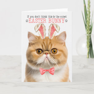 Tarjeta Festiva El gato del Naranja de Shorthair exótico oró la Pa