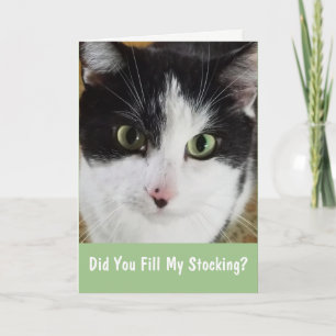 Tarjeta Festiva El gato quiere a sus Navidades aletargados