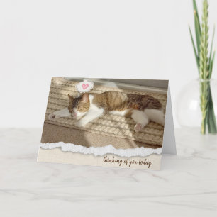 Tarjeta Festiva El gato tocando la cabeza con la luz del sol pensa