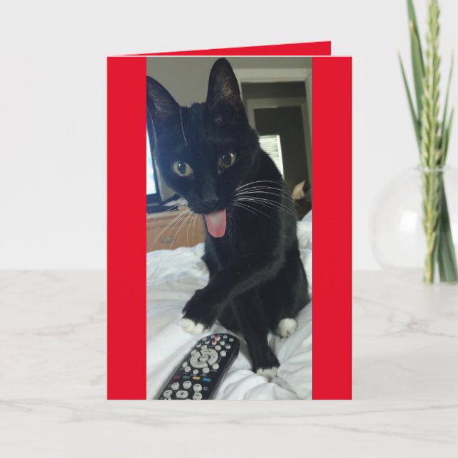 Tarjeta Festiva El gato toma el mando a distancia para Día de San  (Anverso)