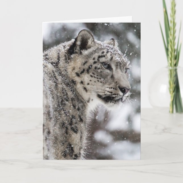 Tarjeta Festiva El leopardo de las nieves se para en la nieve (Anverso)