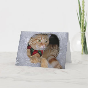 Tarjeta Festiva el mas x carda