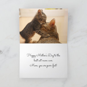 Tarjeta Festiva El mejor gato que mamá del día de la madre -