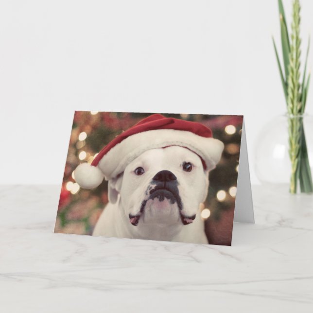 Tarjeta Festiva ¡Él no es feliz con el gorra! (Anverso)