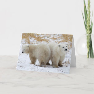 Tarjeta Festiva El oso polar Cubs carda