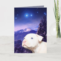 El perro es dios deletreado al revés…