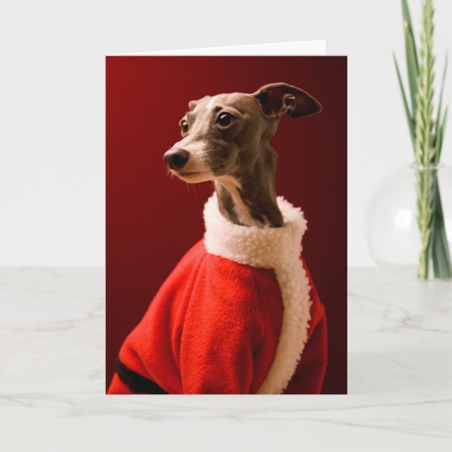 Tarjeta Festiva El perro lleva la ropa de Papá Noel (Anverso)