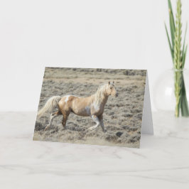 Tarjeta Festiva El salvaje Stallion Wyoming, Koda con una carta en