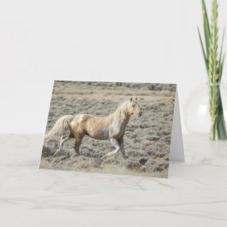 Tarjeta Festiva El salvaje Stallion Wyoming, Koda con una carta en