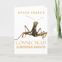 El territorio de Connecticut inspira a las marisma