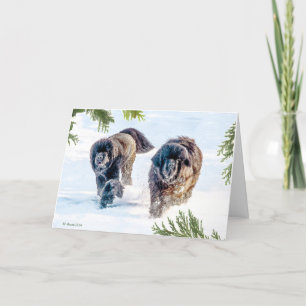 Tarjeta Festiva ¡El tronar en el Año Nuevo!