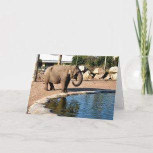 Tarjeta Festiva elefante asiático