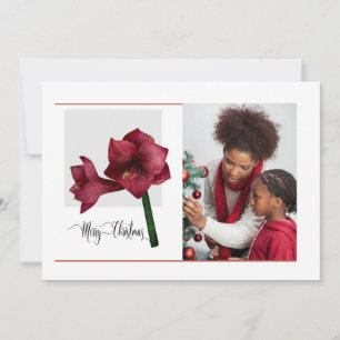 Tarjeta Festiva Elegante 1 foto con flores de Amaryllis, Navidades