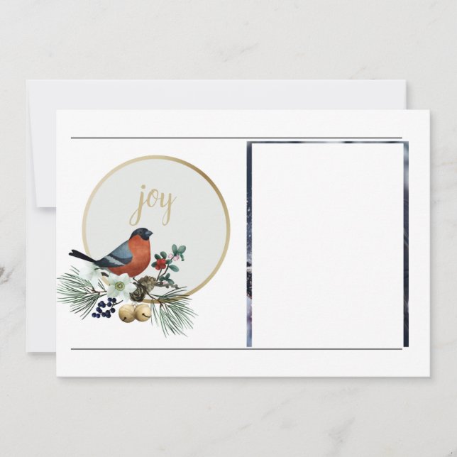 Tarjeta Festiva Elegante 1 fotógrafo Robin de invierno, Navidades  (Anverso)