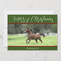 Elegante caballo árabe rojo verde 1 Navidades de f