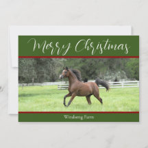 Elegante caballo árabe rojo verde 1 Navidades de f