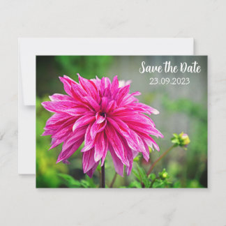 Tarjeta Festiva Elegante flor rosa de Dahlia salva la fecha