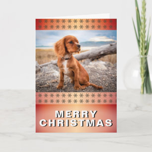 Tarjeta Festiva Elegante foto de perro dorada copos de nieve Navid