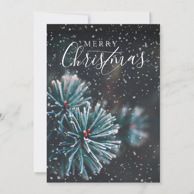 Tarjeta Festiva Elegante foto Merry Christmas Fir Bough Snow (Anverso)