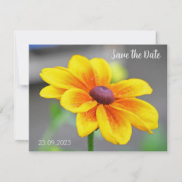 Tarjeta Festiva Elegante Naranja amarillo único Dahlia Flower Save